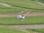 FZ017753 Helicoprter spraying vines.jpg